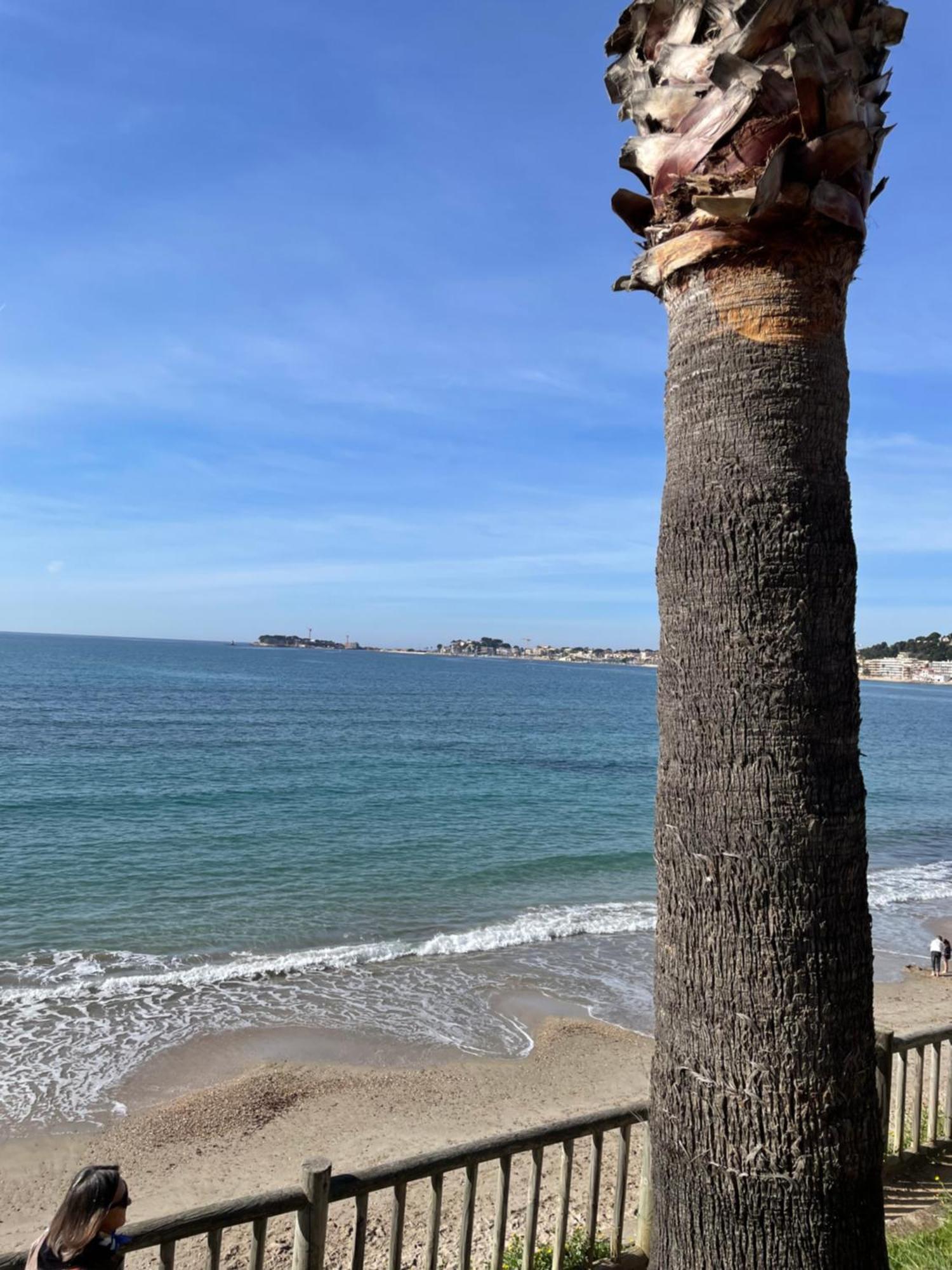 Studio Climatise Piscine Et Proche Plage Sanary-sur-Mer Luaran gambar